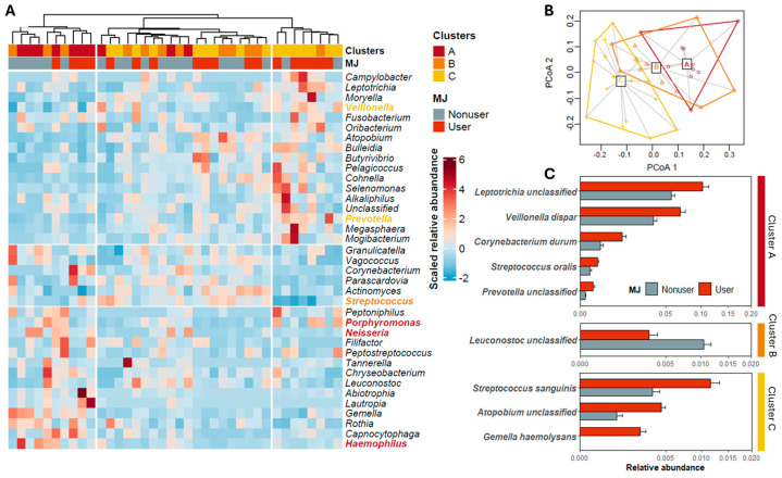 Validation and characteristics of the three defined clusters (Clusters A, B, and C) and MJ-associated species in each of them. (A) Genus-based clustering of microbial communities. Three clusters were formed based on the relative abundance of all 37 genera identified in this study, and they are highly correlated with the clusters identified in Figure 2. The genera with names labeled in colored text belong to the salivary cohabitating groups illustrated in Figure 2. (B) Dispersions of the microbial community in each cluster. (C) ASVs with significantly different relative abundance between marijuana (MJ) users and nonusers. The comparisons were made within each of the three clusters. p < 0.05, Kruskal–Wallis test.