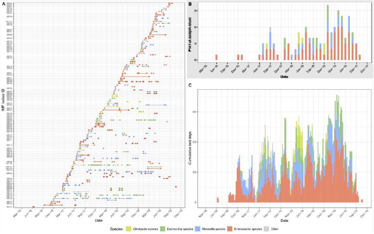 Characteristics of confirmed blaIMPCPE cases and CPE species.Colours in each panel indicate the genus of CPE. (A) Total number of bed days when inpatients (rows labelled by isolate identifier) were present in a hospital ward before confirmation of blaIMPCPE colonisation/infection and related IPC measures (in-hospital infectious period). Additionally, patients with known carriage of blaIMPCPE but without sequenced isolates are shown as unlabelled rows. Patients with two species of CPE isolates (IMP22/24, IMP25/33, IMP96/97, IMP100/101) are on adjacent rows. (B) Monthly total number of confirmed blaIMPCPE isolates from patients during the study period 2016–2019. (C) Weekly cumulative number of occupied beds in-hospital during the infectious periods.