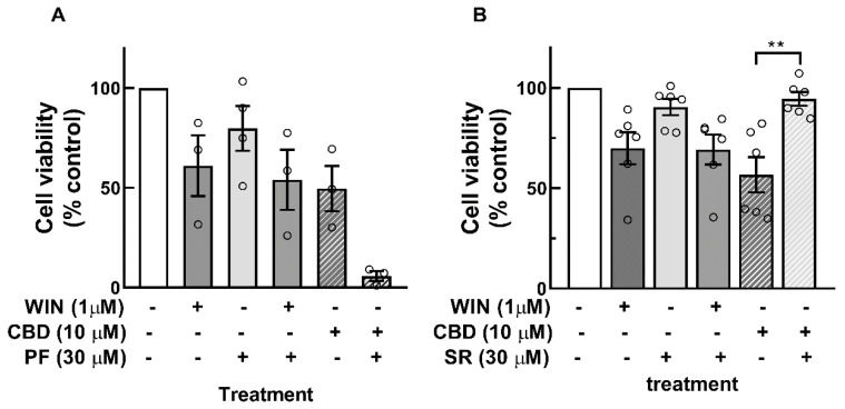 Effect of CB1 and CB2 receptor antagonists on the decrease in cell viability induced by WIN or CDB in glia-enriched cell cultures. Cultures at E8C13 were incubated with 1 µM WIN or 10 µM CBD in the presence or absence of 30 µM of the CB1 receptor antagonist PF514273 (A) or 30 µM of the CB2 receptor antagonist SR144528 (B) for 24 h. Cell viability was estimated by MTT assay. Data represent the mean % of control ± S.E.M. of 3 to 6 experiments performed in triplicate or quadruplicate. ANOVA and Bonferroni’s multiple-comparisons test was used. ** p < 0.01.