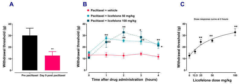 Licofelone alleviates established paclitaxel-induced mechanical allodynia. (A) Paw withdrawal thresholds at pre-paclitaxel administration (baseline) and on day 9 post-first administration of paclitaxel. Each bar represents mean ± S.E.M, n = 32, ** p < 0.01 compared to baseline (Paired Student’s t-test) (B) Time-response curve of withdrawal threshold at day 9 post-first administration of paclitaxel, before and after acute treatment with different doses of licofelone. Each point represents mean ± S.E.M, n = 5–8, * p < 0.05, ** p < 0.01 compared to the vehicle-treated group at the same time point after treatment (Two-way ANOVA followed by Šídák’s multiple comparisons test). (C) Dose-response curve of withdrawal threshold at day 9 post-first administration of paclitaxel, at 2 h after acute treatment with different doses of licofelone. Each point represents mean ± S.E.M, n = 5–8, ** p < 0.01 compared to the vehicle-treated group at the same time point after treatment (One-way ANOVA followed by Dunnett’s multiple comparison posttest).