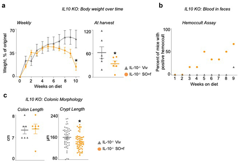A diet high in LA increases susceptibility to colitis in IL10−/− mice. IL10−/− mice fed SO+f or Viv diet for 10 weeks.