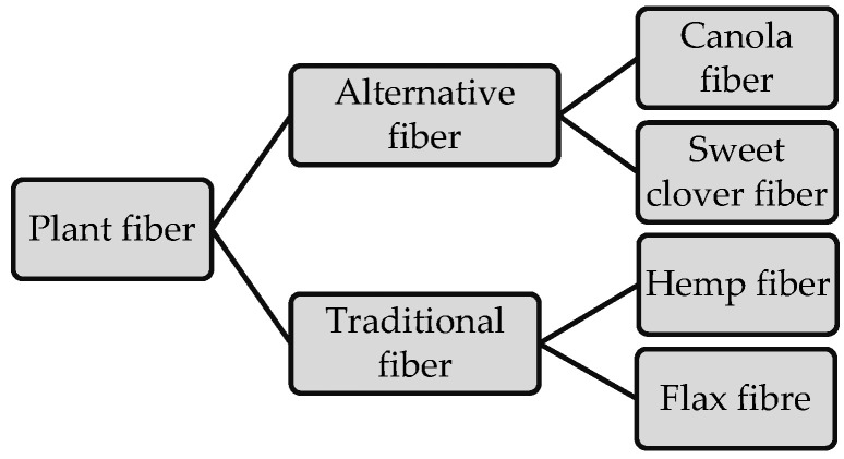 Types of fibers characterized.