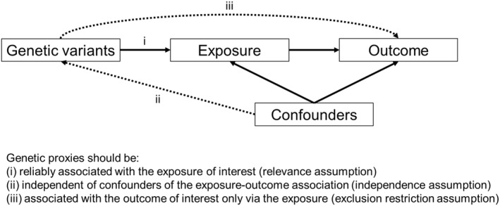 Mendelian randomization (MR) primary assumptions
