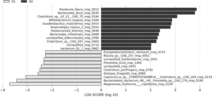 Linear discriminant analysis effect size (LEfSe) showing species that were differentially abundant between Q1 (grey) and Q4 (black). Logarithmic linear discriminant analysis (LDA) score > 2, p < 0.05. Q1 = minimum to 25th percentile of OEA/PEA ratio at baseline (CT, n = 9; MD, n = 11), Q4 = 75th percentile to maximum of OEA/PEA ratio at baseline (CT, n = 10; MD, n = 10)