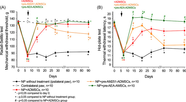 Impact of pharmacological modulation of CB1 receptors on membranes of adipose‐derived mesenchymal stem cells (ADMSCs) on nociceptive responses to mechanical (A) and thermal (B) stimuli in rats with neuropathic pain. The arrow indicates the time of transplantation of ADMSCs. Data were assessed by repeated measures ANOVA with post hoc comparisons using the lowest significant differences method. [Color figure can be viewed at wileyonlinelibrary.com]
