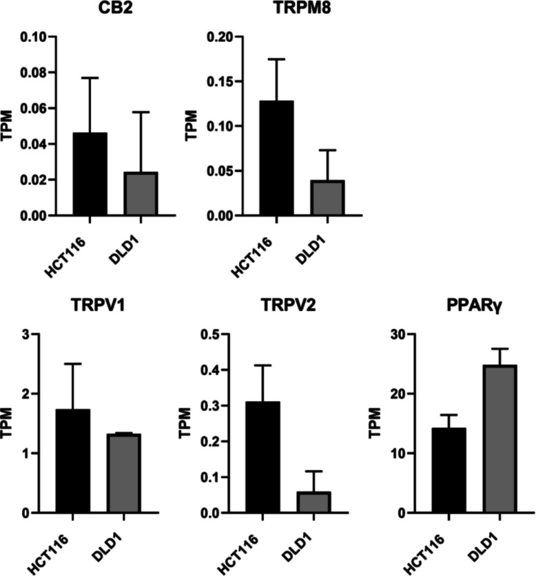 mRNA expression of cannabinoid and cannabinoid-related receptors in colorectal cancer cell lines. mRNA expression levels of CB2, TRPM8, TRPV1, TRPV2, and PPARγ in HCT116 and DLD1 cells were determined by RNA sequencing. Expression values are presented as transcripts per million (TPM). Data represent the mean ± SD from three independent biological replicates (n = 3). Statistical comparisons between HCT116 and DLD1 cells were performed for all targets; however, none of the differences reached statistical significance, and therefore no statistical annotations are shown
