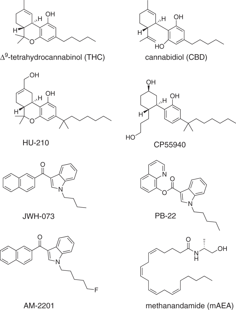 Structures of the cannabinoids used in this study. THC and CBD are phytocannabinoids. HU-210 is a synthetic dimethylheptyl and hydroxylated analog of THC. CP55940 belongs to the alkyl phenol class, and JWH-073, PB-22, and AM-2201 belong to the aminoalkylindole class of synthetic cannabinoids. Methanandamide is a semisynthetic metabolism-resistant analog of the endocannabinoid anandamide. CBD, cannabidiol; mAEA, methanandamide; THC, Δ9-tetrahydrocannabinol.