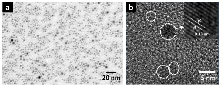 (a) TEM image of a small magnification view over ZnS NPs (nanoparticles) grown on copper mesh, and (b) a magnification at a few individual ZnS NPs.