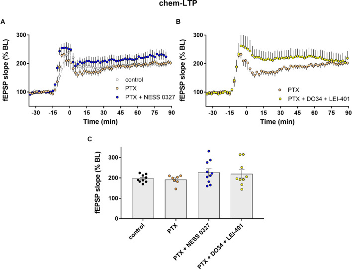 eCB modulation of chem-LTP requires GABAergic transmission. (A) Example time courses of chem-LTP in control conditions or in the presence of picrotoxin (PTX) or PTX plus the CB1 antagonist NESS 0327. (B) Example time courses of chem-LTP in the presence of PTX or PTX plus the eCB synthesis inhibitors DO34 and LEI-401. (C) Group data for the magnitude of chem-LTP at 60 min post-induction under various conditions. Control data repeated from Figure 2.
