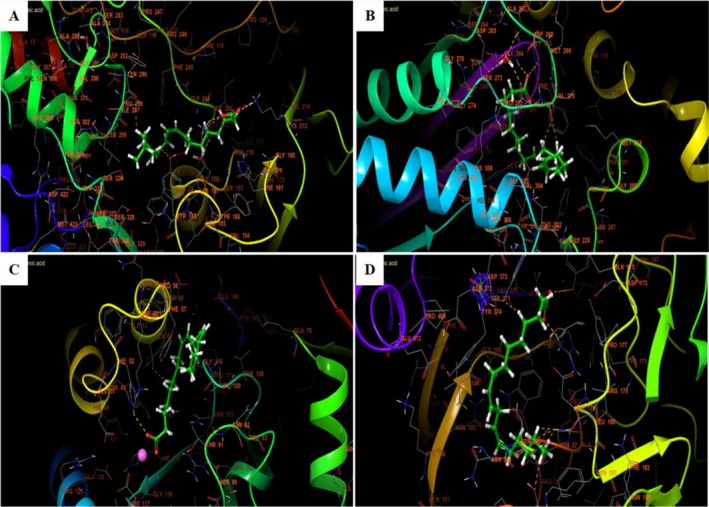 The 3D viewer of linoleic acid interactions with the active site. (A) NADPH oxidase, (B) beta‐ketoacyl‐[acyl carrier protein] synthase from Escherichia coli , (C) Staphylococcus aureus nucleoside diphosphate kinase, (D) G. candidum Cel7A structure.