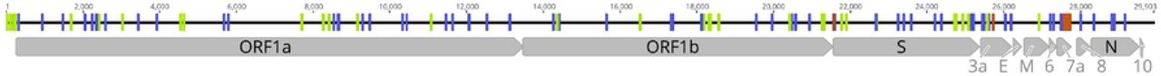 Distribution of variations in the SARS-CoV-2 genome.Variations found across different ORFs of SARS-CoV-2 genomes analyzed. Synonymous mutations and changes found in noncoding regions are highlighted in green, non-synonymous mutations in blue and deletions in red. Genome coordinates are relative to the SARS-CoV-2 Wuhan-Hu-1 reference sequence genome (GenBank acc.# MN908947).
