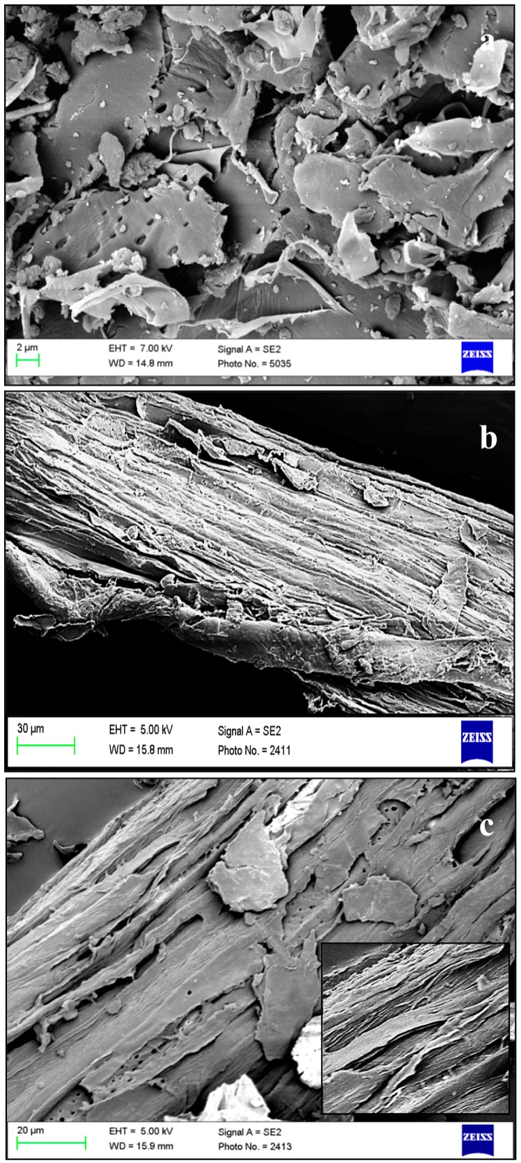 SEM images of HHB at different stages of microfibres extraction: (a) raw; (b) ATH and (c) AHH.