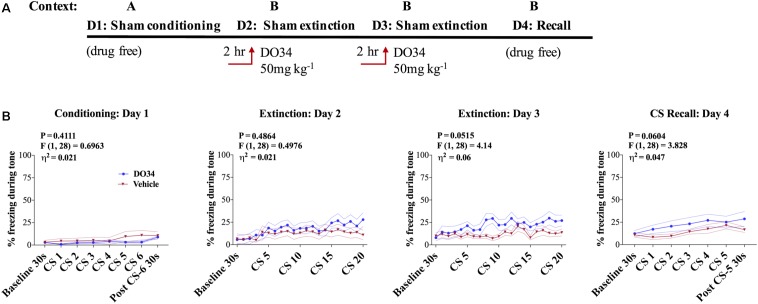 Pharmacological DAGL inhibition does not affect unconditioned freezing. (A) Schematic diagram of the experimental paradigm. (B) (Far left panel) % freezing by C57BL/6J male mice during sham-conditioning assay-no shock was administered after tone. (Middle panels) % freezing during auditory cue during extinction training days 2 and 3. (Far right panel) % freezing during extinction recall (n = 15 male mice per condition). F- and P-values and η2 for main effect of drug treatment shown in each panel. All values are presented as mean ± SEM.