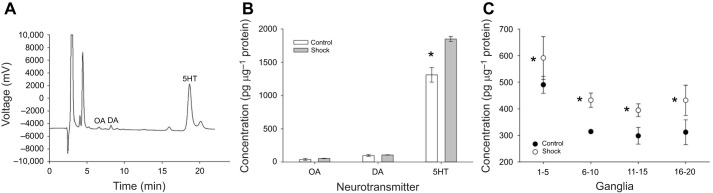 Shock-induced changes in biogenic amine levels in the H. verbana CNS. (A) Sample chromatogram from H. verbana tissue showing a very large peak for 5HT and much smaller peaks for octopamine (OA) and dopamine (DA). (B) Shock treatment (N=3) produces a significant increase in 5HT in the CNS compared with controls (N=3). (C) Pattern of 5HT levels across the length of the nerve cord. Greatest amounts of 5HT are found in the anterior region (ganglia 1–5), but shock-induced increases in 5HT are observed in all the ganglia sections tested. *P<0.001 indicates a statistically significant effect of shock treatment.