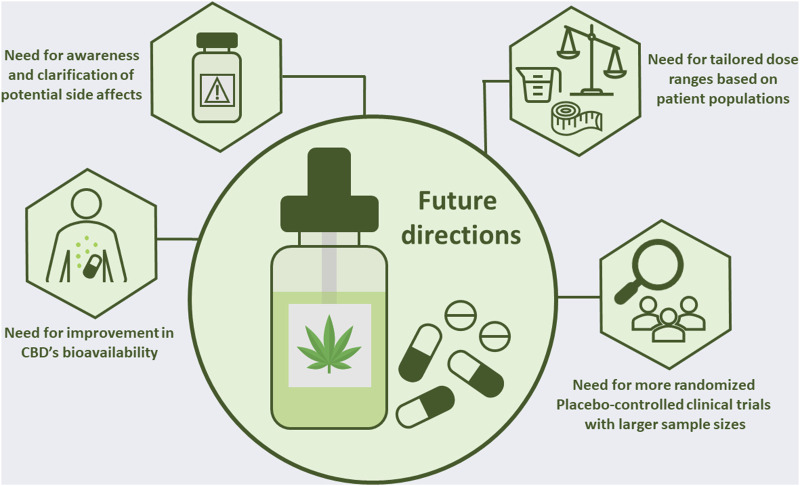 Future directions for research on CBD to confirm its use as a potential therapeutic agent.