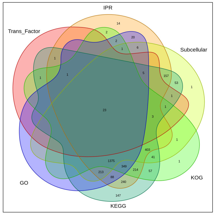 Functional annotation results. Each ‘circle’ in the figure represents the annotation results of one database. The overlapping part represents the proteins jointly annotated by multiple databases, while the non-overlapping part represents the proteins individually annotated by the corresponding databases.