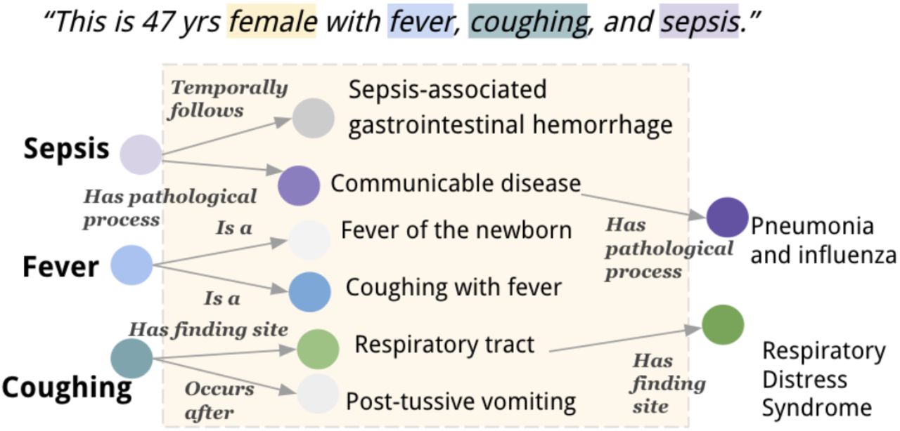 Inferring possible diagnoses within 2-hops from a UMLS knowledge graph given a patient’s medical description. We highlight the UMLS medical concept in the color boxes (“female”, “sepsis”, etc). Each concept has its own subgraph, where concepts are the vertices, and semantic relations are the edges (for space constraint, we neglect the subgraph for “female” in this graph presentation). On the first hop, we could identify the most relevant neighbor concepts to the input description. The darker color the vertices are, the more relevant they are to the input description. A second hop could be further performed based on the most relevant nodes, and reach the final diagnoses “Pneumonia and influenza” and “Respiratory Distress Syndrome”. Note that we use the preferred text of Concept Unique Identifiers (CUIs) for presentation purposes. The actual UMLS KG is built on CUIs rather than preferred text.