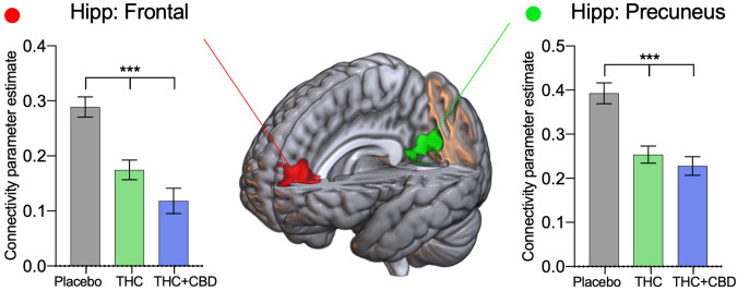 Drug treatment results from the hippocampal network.Areas identified in the seed-voxel whole-brain ANOVA model as having connectivity affected by drug condition (placebo, THC, THC + CBD) with the hippocampal network were subdivided into regions of interest to identify directional effects. Connectivity between the hippocampal network and the frontal (red) and precuneus cortex (green) is reduced with acute cannabis administration. Results are presented collapsed across age groups. Error bars show SEM, N = 46 (24 adults), P < 0.001 ***.