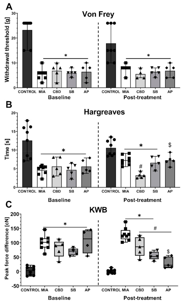 Analgesic potential of 50 mg/kg CBD at Day 20 and 21 post MIA induction modulated by coadministration of TRPV1 and TRPA1 antagonists. CBD was administered i.p. two hours before assessment. The TRPV1 antagonist SB-366791 (SB; 1 mg/kg) and TRPA1 antagonist AP-18 (AP; 0.2 mg/kg) were administered i.p. 30 min before the assessment. Pain was assessed at baseline at day 20 post MIA and 2 h after i.p. administration of CBD with or without antagonists at day 21 post MIA (A–C). Two-way ANOVA revealed significant treatment effect in all tests (p < 0.0001). Individual data points are shown in box and whisker plots presenting means ± min to max. The control and MIA groups included N = 8 rats, whereas the CBD group without antagonists (CBD, SB, AP) included N = 5 rats. ● denotes samples in control group; ■ denotes samples in MIA group; ▲ denotes samples in MIA + CBD group; ▼ denotes samples in MIA + CBD + SB-366791 group; ♦ denotes samples in MIA + CBD + AP-18 group. The difference was considered significant when p < 0.05. * Denotes significant differences compared with the vehicle-treated control group of healthy animals; # denotes difference compared with the vehicle-treated MIA group; $ denotes difference compared with the CBD group.