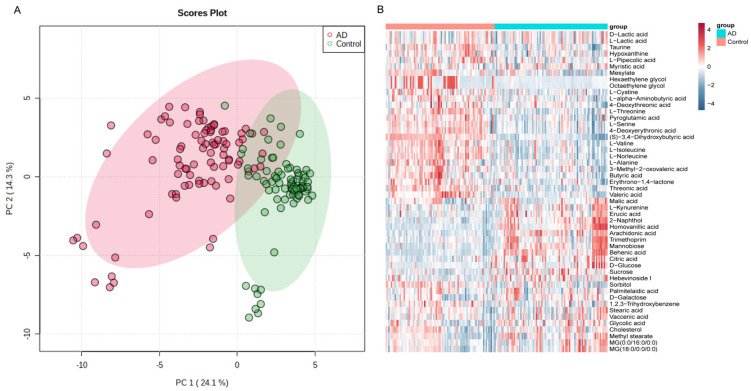 The differences in serum metabolomic profiles between AD and CN patients. (A) The principal components analysis (PCA) score plots show the considerable separation between AD (n = 88) and CN (n = 85) groups. (B) Heatmap, top 50 different metabolite expressions (Student’s t-test).