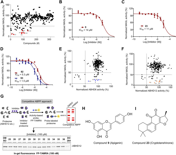 Screening the focused library of natural organic compounds to identify MAGL inhibitors selective over ABHD6 and ABHD12. (A) A total of 320 compounds were screened in duplicate (N = 2) at 100 µM using the AA-HNA-based assay against MAGL. Among them, 26 compounds showed >50% inhibitory activity and 8 compounds (indicated in red) showed >70% inhibitory activity and were selected for further concentration-response analysis. (B–D) Concentration-dependent inhibition of MAGL activity by compounds 9 (B), 23 (C), 82 and 93 (D) as measured by the AA-HNA assay. Data represent means ± SEM, n = 4 per group. (E) Analysis of MAGL inhibition vs. ABHD6 inhibition (100 µM compounds). (F) Analysis of MAGL inhibition vs. ABHD12 inhibition (100 µM compounds). (G) Representative gels of competitive activity-based protein profiling (ABPP) show the evaluation of ABHD12 activity using activity-based probe FP-TAMRA (250 nM). (H,I) Chemical structures of compounds 9 and 23.