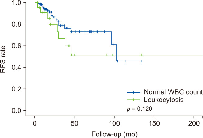 Comparison of recurrence-free survival (RFS) rate between normal white blood cell (WBC) count (< 11,000/μL) and leukocytosis (WBC ≥ 11,000/μL). No significant difference in RFS rate was found between the two groups.