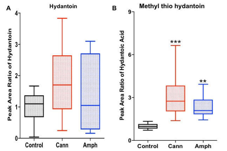Effects of cannabis or amphetamine on hydantoin and methyl thio hydantoin in cannabis or amphetamine use disorder patients. (A) Kruskal–Wallis test followed by Dunn’s post hoc analysis did not show any differences in hydantoin among the groups. (B) Kruskal–Wallis test followed by Dunn’s post hoc analysis showed that methyl thio hydantoin was higher in both amphetamine and cannabis groups compared with the control group. (** p < 0.01, *** p < 0.001). Cann, cannabis. Amph, amphetamine.