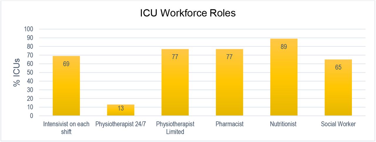ICU workforce roles, Asia Pacific region