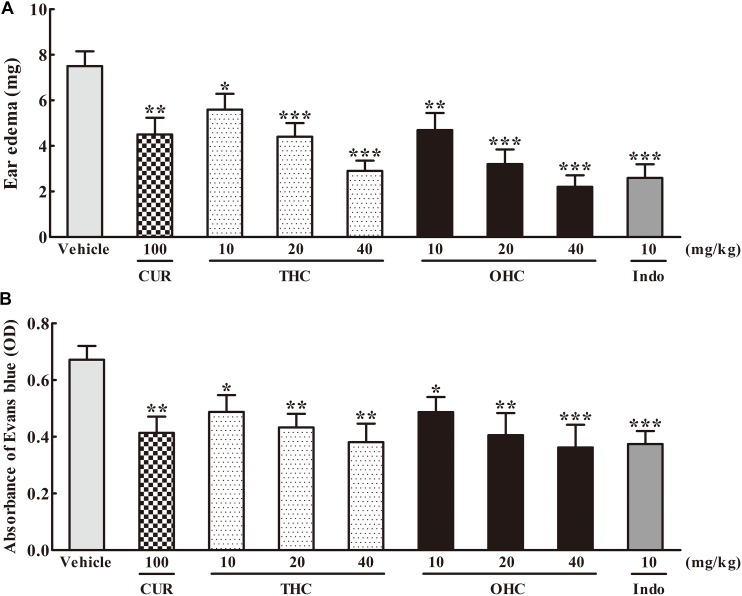 Effects of THC and OHC on the xylene-induced ear edema in mice (A) and acetic acid-induced vascular permeability in mice (B). (A) The ear edema was assessed as the weight difference between the left and the right ear biopsies of the same animal. (B) The capillary permeability was represented as the amount of Evans blue extruded into peritoneal cavity, which was measured by the OD of the supernatant. Data were expressed as means ± S.E.M. (n = 10), ∗p < 0.05, ∗∗p < 0.01, ∗∗∗p < 0.001 vs. the vehicle control. Significant differences between groups were determined by ANOVA and Dunnett’s post hoc test.