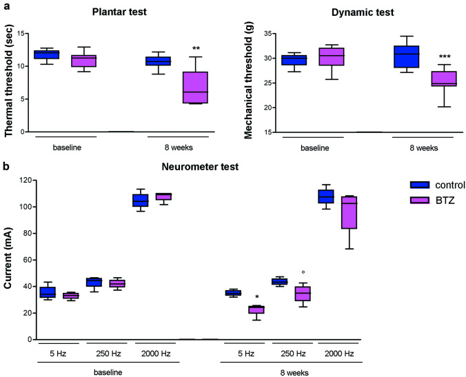 Animal model’s nocifensive behavior and current perception threshold (CPT) after bortezomib (BTZ) administration Withdrawal latency to an infrared heat stimulus was determined using a Plantar Test apparatus that showed thermal allodynia in BTZ-treated rats (a, left panel); mechanical threshold was assessed with the Dynamic Aesthesiometer Test device that showed mechanical allodynia in BTZ-treated rats (a, right panel), b) the Neurometer device was used to evaluate the CPT as a quantitative measure of nerve function by selectively depolarizing different subpopulations of afferent fibers. BTZ treatment significantly increased the sensitivity of the A-delta and C fibers function, which resulted in a behavioral response to a lower current stimulus than the control group, while BTZ had no effect on large myelinated fibers (b). °P<0.05 vs control 250Hz; *P<0.05 vs control 5 Hz; **P<0.01 vs control; ***P<0.001 vs control. For more details about Materials and Methods, see Supplementary material