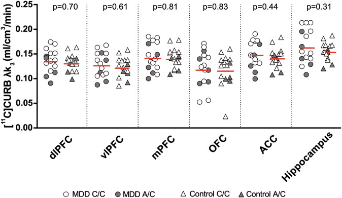 [11C]CURB λk3 across prioritized brain regions in MDD and healthy control groups.There was no significant group effect of [11C]CURB λk3 between MDD participants and healthy controls (F1,27 = 0.32, p = 0.58). Red bars indicate means, adjusted for genotype. dlPFC dorsolateral prefrontal cortex, vlPFC ventrolateral prefrontal cortex, mPFC medial prefrontal cortex, OFC orbitofrontal cortex, ACC anterior cingulate cortex.