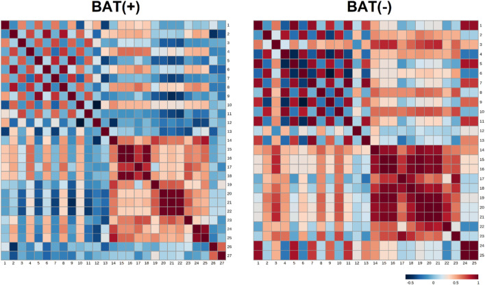 Heatmap matrix of correlations of AUC of endocannabinoids (during cold exposure) and clinical parameters, separately for BAT (−) and BAT (+) group. Each square indicates Spearman’s rank correlation coefficient which value is represented by the intensity of the colors, where red corresponds to maximal positive correlation and blue to maximal negative correlation (presented on the color scale); 1—AUC of AEA during CE; 2—AUC of GP-AEA during CE; 3—AUC of EPEA during CE; 4—AUC of GP-EPEA during CE; 5—AUC of OEA during CE; 6—AUC of GP-OEA during CE; 7—AUC of PEA during CE; 8—AUC of GP-PEA during CE; 9—AUC of SEA during CE; 10—AUC of 2-AG during CE; 11—AUC of DEA during CE; 12—fasting glucose; 13—AUC of glucose during OGTT; 14—BMI; 15—visceral adipose tissue mass; 16—visceral adipose tissue volume; 17—visceral adipose tissue mass as a percentage of adipose tissue; 18—visceral adipose tissue as a percentage of body weight; 19—adipose tissue mass; 20—adipose tissue percentage; 21—android fat percentage; 22—gynoid fat percentage; 23—android fat to gynoid fat ratio; 24—lean mass; 25—fat free mass; 26—BAT activity; 27—BAT volume.