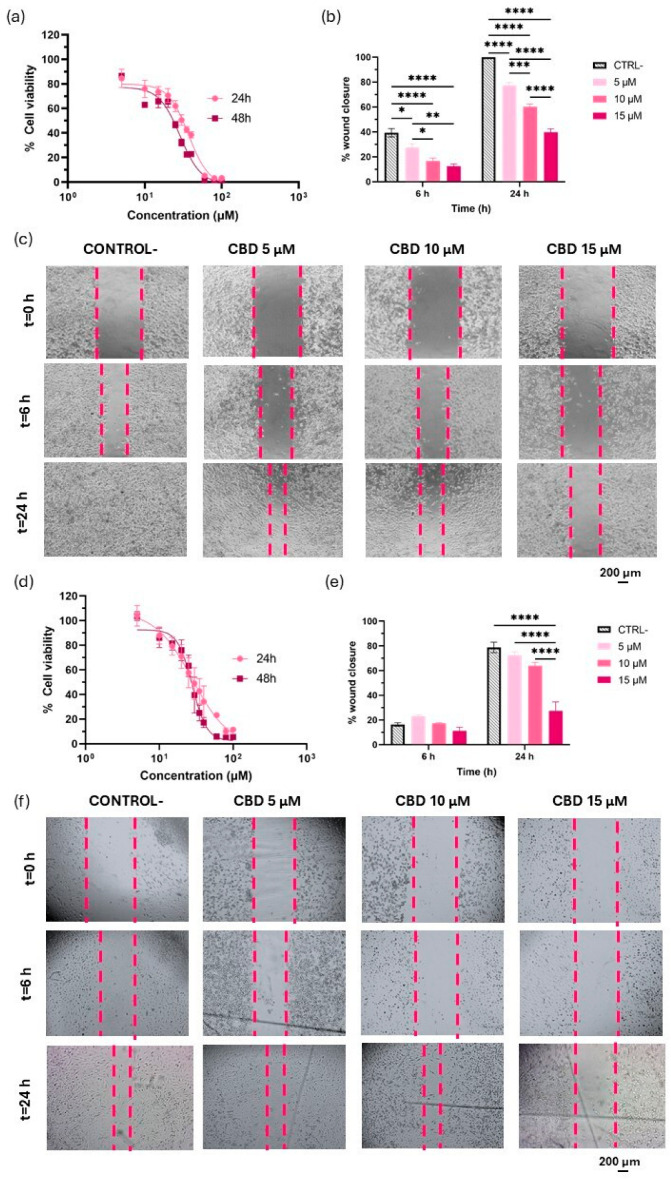 Effect of CBD on cell viability and migration in U-87 MG and U-373 MG glioma cell lines. (a) Cytotoxicity of CBD in solution against the U-87 MG cell line; (b) Effect of CBD at 5, 10, and 15 µM on U-87 MG cell migration at 6 and 24 h, assessed by wound closure percentage; (c) Representative images of scratched U-87 MG cell monolayers for each treatment condition and time point; (d) Cytotoxicity of CBD in solution against the U-373 MG cell line; (e) Effect of CBD at 5, 10, and 15 µM on U-373 MG cell migration at 6 and 24 h, assessed by wound closure percentage; (f) Representative images of scratched U-373 MG cell monolayers for each treatment condition and time point. Scalebar: 200 µm. Statistical analysis: two-way ANOVA followed by a post hoc Tukey’s multiple comparison test. Statistical significance is shown only for the treatment factor: * p < 0.05; ** p < 0.01; *** p < 0.001; **** p < 0.0001.