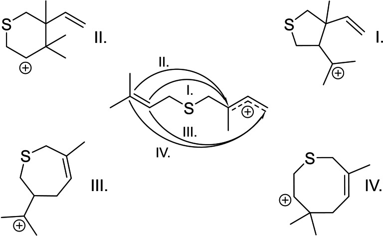 Possible cyclization patterns of substrate 4. Based on hypothetically possible cyclization mechanisms, four different prenyl cations could be assumed as initial intermediates for the cyclization of this substrate (center).