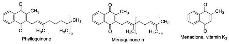 Structures of neuroprotective vitamin K-related quinones.
