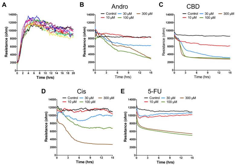(A) Resistance time series of SCC-25 cell attachment and spreading. Each colored curve represents the time course obtained from each of the eight electrode-containing wells. Typical resistance time course of confluent SCC-25 cell layers upon addition of various concentrations of (B) andrographolide, (C) CBD, (D) 5-FU, and (E) cisplatin. Three independent ECIS experiments were performed (n = 3). In each experiment, three wells were measured for each drug concentration. At time 0, each anticancer compound dissolved in DMSO was added to give the final concentrations of 10 μM (red), 30 μM (blue), 100 μM (green), 300 μM (brown), and control (black), and the resulting changes in resistance were followed. Data were collected for 15 h after adding for each compound.