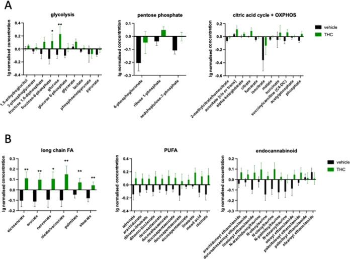 (A) THC treatment increases the level of compounds representing carbohydrate metabolism and energy production at day 14 in the hippocampus. OXPHOS = oxidative phosphorylation. (B) Significant increase in the level of lipid metabolites with known antiaging effect. FA = fatty acid; PUFA = polyunsaturated fatty acid. Significantly affected compound groups were identified using two-way repeated ANOVA. Columns represent mean values, whiskers standard error. *q < 0.05; **q < 0.01 difference between the vehicle- and THC-treated groups according to Benjamin, Krieger, and Yekutieli.