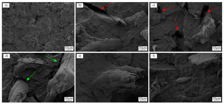Field-emission scanning electron microscopy (FESEM) images of the fracture surfaces of the injection-molded rPP/hemp composite parts: (a) rPP; (b) rPP-H10-C; (c) rPP-H20-C; (d) rPP-H30; (e) rPP-H30-C; and (f) rPP-H30-M. Images were taken at 500×.