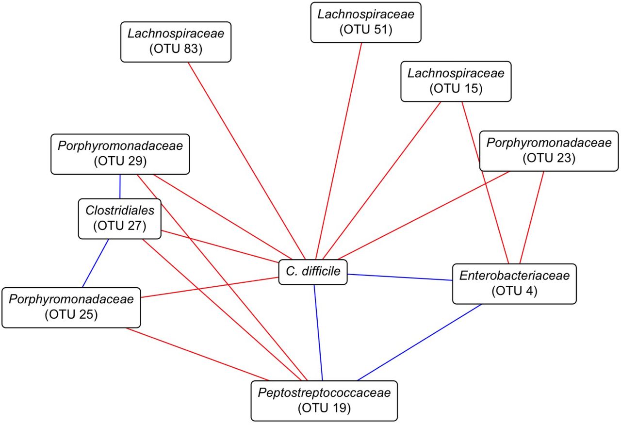 Streptomycin-treated murine fecal community associations with C. difficile.Network constructed with SpiecEasi from the OTU relative abundances and C. difficile CFU data from 1 through 5 days post C. difficile infection. Red lines represent negative associations and blue lines indicate positive associations. C. difficile is based on CFU counts and Peptostreptococcaceae (OTU 19), the OTU most closely related to C. difficile, is based on sequence counts. Only C. difficile subnetwork shown.