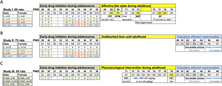 Experimental timeline. (A) Affective-like state during adulthood following adolescent drug exposure. (B) Evaluating voluntary ethanol consumption in adulthood following adolescent drug exposure. (C) Pharmacological intervention during adulthood before voluntary ethanol access. (A–C) Adolescent drug treatments were done at the indicated times: vehicle (V: 0.9% NaCl, 1 mL/kg/day, i. p.), ethanol (E: 2 g/kg, i. p.), cocaine (C: 15 mg/kg/day, i. p.), and/or their combination (EC: ethanol + cocaine as described). EPM, elevated plus maze; FST, forced swim test; NSF, novelty-suppressed feeding test; PND, post-natal day; SP, sucrose preference.