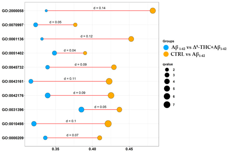 Bubbleplot of biological process terms enriched in gene ontology between CTRL vs. Aβ1-42 and Aβ1-42 vs. Δ8-THC + Aβ1-42 groups. For each ontology reported on the y axis, a bubble for the CTRL vs. Aβ1-42 (orange) and one for the Aβ1-42 vs. Δ8-THC + Aβ1-42 (light blue) groups were plotted. The position of the bubble in the x axis shows the number of DEGs in the ontology (the more on the right, the higher the number of DEGs). The number of DEGs was normalized over the number of genes included in the ontology term itself so that the terms were comparable to each other. The size of the bubble is a score given by −log(q-value).