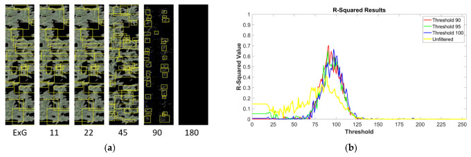 r2 values at varying tassel filter thresholds. (a) The tassel filter at thresholds of 11 to 180 based on an image pre-filtered with the Excess Green Index (far left). Bounding boxes (yellow) indicate predicted tassels. (b) Average r2 values calculated based on the ground truth data. Each curve indicates the r2 values from using a randomized selection of images as the training data, filtered to thresholds of 90, 95, and 100. The yellow curve represents the results after training with the unfiltered images. The X-axis represents the threshold at which the sets of test images were filtered. The highest r2 value (0.7033) was observed at a test image threshold of 91 when training was conducted using images filtered to a threshold of 90.