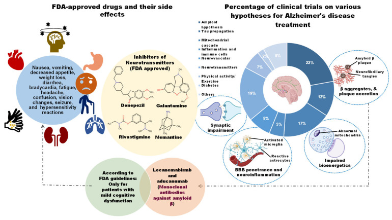An overview of FDA-approved drugs, their associated side effects, and the percentage of clinical trials covering the various hypotheses tested as of 2019. Overall, the amyloid hypothesis was tested the most with 22.3% of trials, the second-most tested was the neurotransmitter hypothesis with 19.0%, while other hypotheses, such as tau proliferation were around 12.7%, mitochondrial signaling at 17%, neurovascular system at 7.9%, physical activity 6.6%, inflammation 4.6%, viral related tests 0.5% and other unclassified tests 8.4%. Furthermore, two FDA-approved anti-amyloid monoclonal antibodies, lecanemab and aducanumab, are breakthrough agents for early AD that have many side effects in patients. Similarly, the four FDA-approved drugs donepezil, galantamine, rivastigmine, and memantine are blockers of neurotransmitters that produce in patients similar adverse events as those two monoclonal antibodies, including nausea, vomiting, decreased appetite, weight loss, etc.