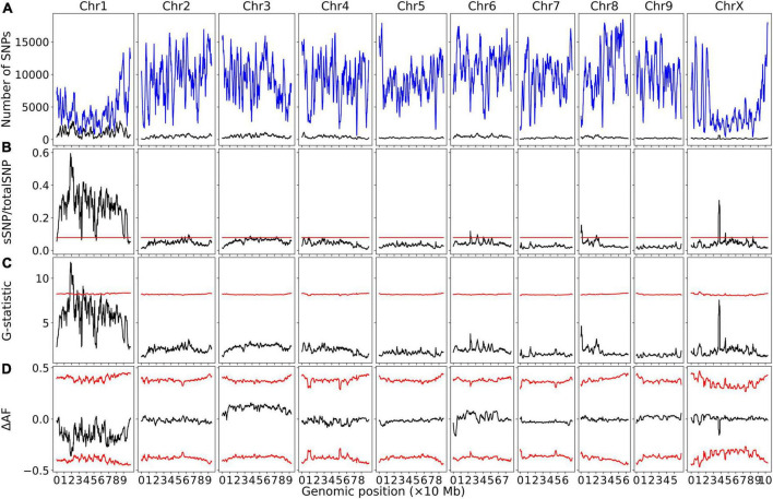Bulk segregant analysis examining pools of photoperiod-insensitive and photoperiod-sensitive plants from GVA-H-20-1080. A physical genomic window size of 2 Mb and step size of 10 kb is shown. (A) Chromosomal distribution of SNPs. Total SNP number is in blue and significant SNP number (Fisher Exact Test P < 0.01) is in black. (B) Ratio of significant SNPs:Total SNPs across chromosomes. (C) G-Test statistic values across chromosomes. (D) Delta-allele frequency (ΔAF) values across chromosomes. Red lines represents significance thresholds determined by simulation of 10000 SNPs given allele depths at the 99.5th percentile for significant SNPs:Total SNPs and G-statistic, and the 99% confidence interval for ΔAF values.
