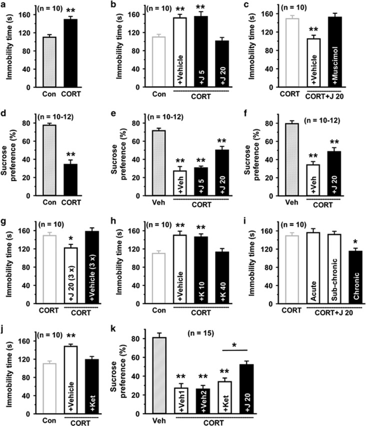 Antidepressant effects of MAGL inhibitors, fluoxetine and ketamine on chronic CORT-treated mice (a, d) Chronic CORT-treated mice show increased immobility (a) and decreased sucrose consumption (d). (b, c, e, f) An intraperitoneal (i.p.) injection of 20 but not 5 mg kg−1 JZL184 decreases immobility (b) and increases sucrose intake (e), as the decreased immobility is blocked by muscimol pretreatment (c) and lasts for 1 week (f). (g) JZL184 (20 mg kg−1, i.p., 3 × 1/5 days) decreases immobility. (h) An i.p. injection of 40 but not 10 mg kg−1 KML29 decreases immobility. (i) Chronic but not a single or sub-chronic injection of fluoxetine (10 mg kg−1, i.p.) decreases immobility. (j, k) An i.p. injection of 10 mg kg−1 ketamine decreases immobility (j) without significant effects on sucrose intake (k) in mice in response to acute stress, whereas JZL184 (20 mg kg−1, i.p.) increases sucrose intake in mice in response to acute stress (k). All summary graphs show means±s.e.m.s; n=numbers of animals recorded in each group. *P<0.05 and **P<0.01 vs control, #P<0.01 vs vehicle, t test (a, d) or LSD post-hoc test after one-way ANOVA (b: F3,36=27.001, P<0.01; c: F2,27=7.426, P<0.01; e: F3,42=24.974, P<0.001; f: F2,33=26.956, P<0.01; g: F2,27=12.301, P<0.05; h: F3,36=21.890, P<0.01; i: F3,36=39.231, P<0.05; j: F2,27=12.505, P<0.001; k: F4,70=41.114, P<0.01).