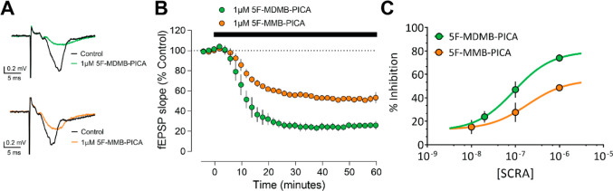 Brain slice electrophysiology concentration-dependent inhibition of hippocampal glutamate release by 5F-MDMB-PICA and 5F-MMB-PICA. (A) Representative averaged traces for 5F-MDMB-PICA (upper) and 5F-MMB-PICA (lower). (B) Summary time course of recordings (n ≥ 3 recordings) demonstrating the effect of SCRAs. (C) Concentration–response curve for 5F-MDMB-PICA and 5F-MMB-PICA (n ≥ 3 recordings per concentration). The pEC50 was calculated to be 7.20 and 6.72 for 5F-MDMB-PICA and 5F-MMB-PICA, respectively. Data points are presented as means ± SEM.