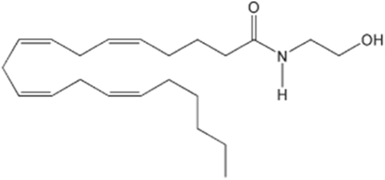 Chemical structure of anandamide.