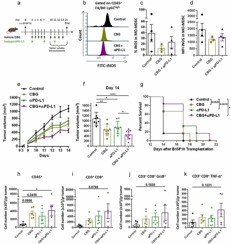 A combination of CBG and αPD-L1 is more effective than each treatment separately.