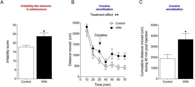 Irritability-like behavior and cocaine-induced cross-sensitization in adolescent rats. (A) Irritability-like behavior increases after 6 days of abstinence from WIN. *p < 0.05 (Student’s two-tailed unpaired t-test). (B) WIN induces behavioral cross-sensitization to the psychostimulant effect of cocaine (10 mg/kg, i.p.). **p < 0.01, significant effect of treatment (two-way repeated-measures ANOVA). (C) The 40-min cumulative locomotor activity score during the cocaine challenge demonstrated that WIN-treated rats were more stimulated by cocaine. *p < 0.05 (Student’s two-tailed unpaired t-test; n = 9).