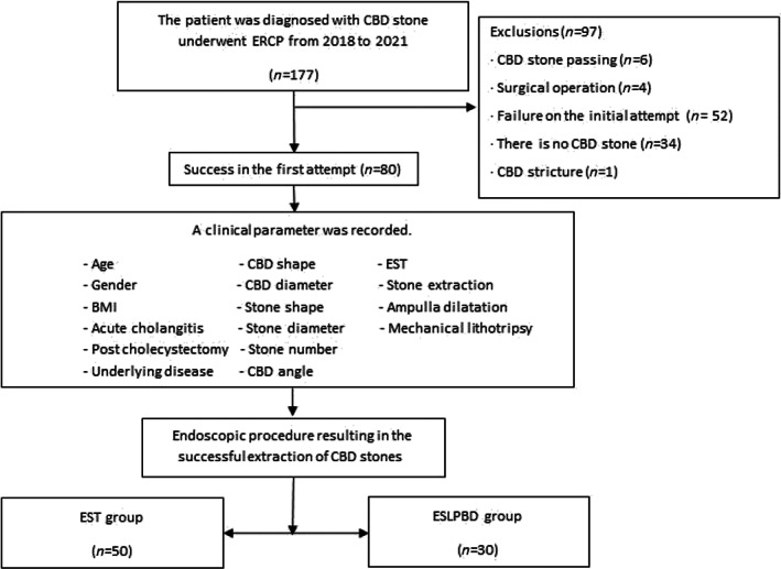 Flow diagram for the selection of the study participants. CBD, common bile duct; ELPBD, endoscopic large papillary balloon dilatation; ERCP, endoscopic retrograde cholangiopancreatography; ESLPBD, endoscopic sphincterotomy combined with endoscopic large papillary balloon dilatation; EST, endoscopic sphincterotomy.